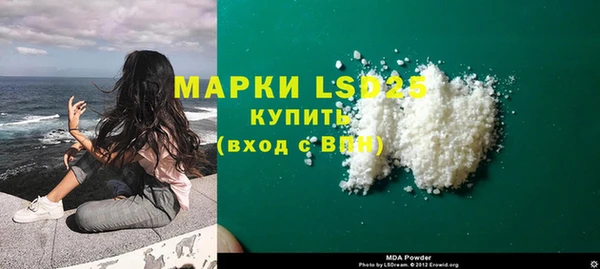 стаф Заводоуковск