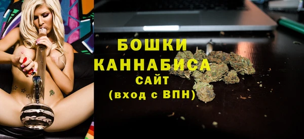 стаф Заводоуковск