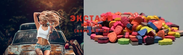 стаф Заводоуковск