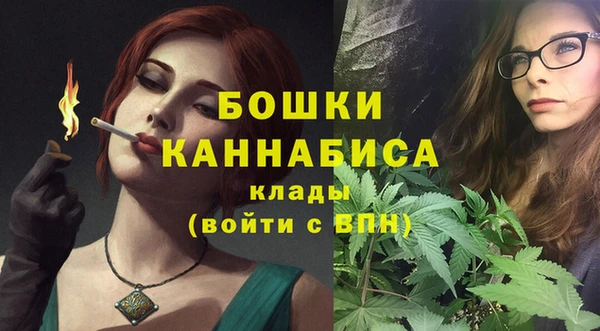 стаф Заводоуковск